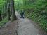 The Smokey Mountains around Gatlinburg offer some of the nicest hiking of anywhere that I've visited.
