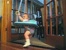 Bouncing, Bouncing Baby...