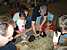 Petting Zoo
